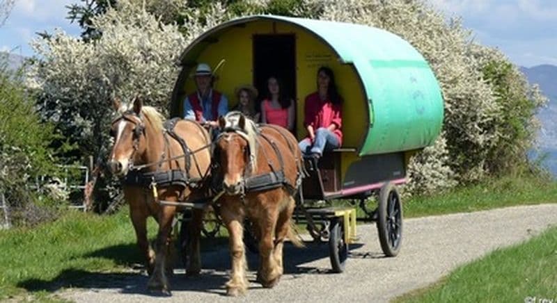 Billet Nuit insolite dans une roulotte à le Poët-Célard et balade en Calèche autour du massif du Couspeau