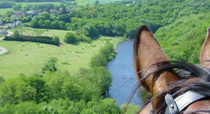 Billet Séjour randonnée équestre près d'Auxerre