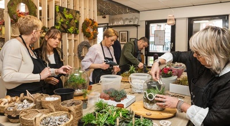 Billet Atelier de création de terrarium à Wasquehal près de Lille