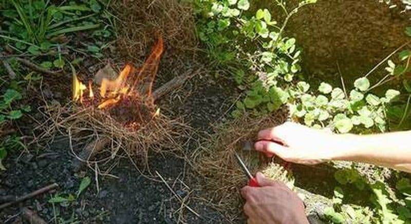 Billet Stage de survie en forêt près de Grenoble