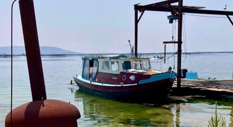 Billet Excursion privatisée sur l'étang de Thau départ de Sète