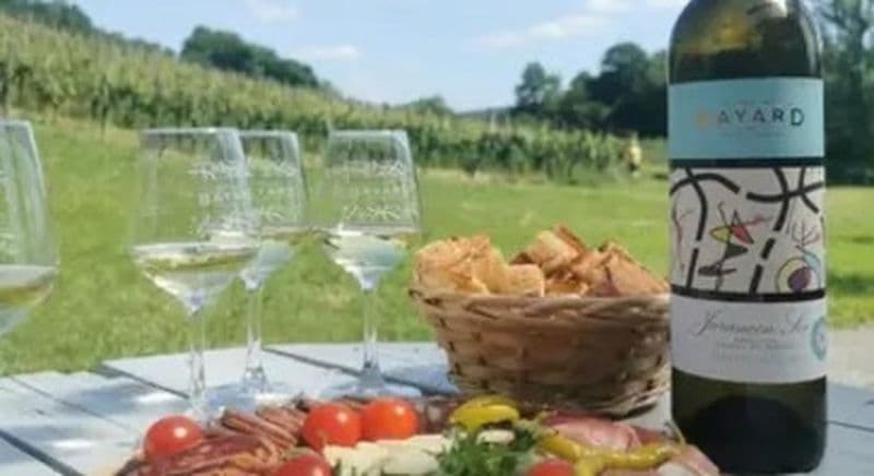 Billet Atelier accord mets et vins à Monein dans un domaine viticole près de Pau