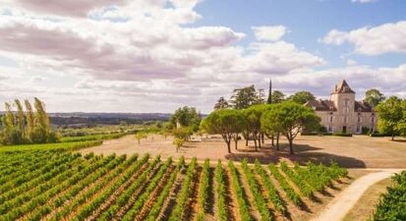 Billet Visite et dégustation de vin au Château de Haute-Serre à Cieurac