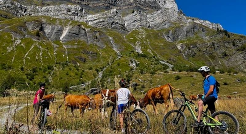 Billet Randonnée VTT électrique dégustation près de Chamonix