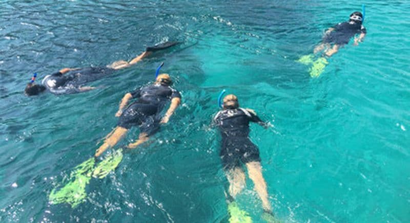 Billet Randonnée Palmée aux îles Sanguinaires depuis Ajaccio
