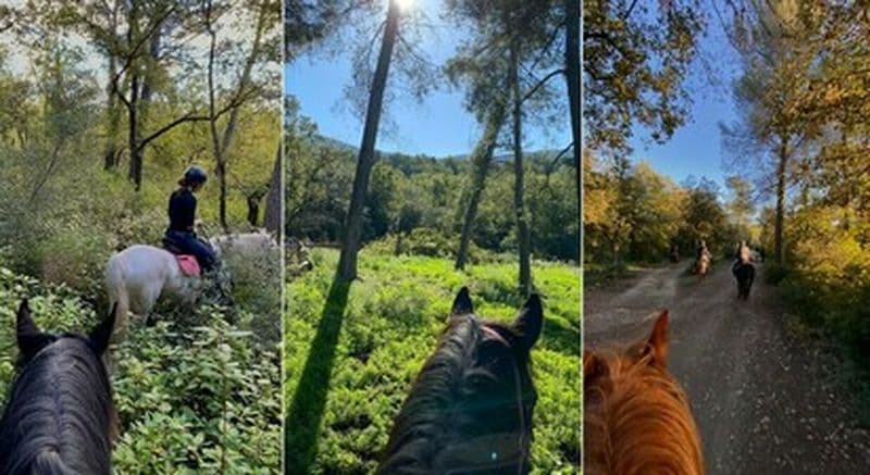 Billet Balade à cheval à Mimet