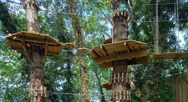 Billet Accrobranche à Angoulême