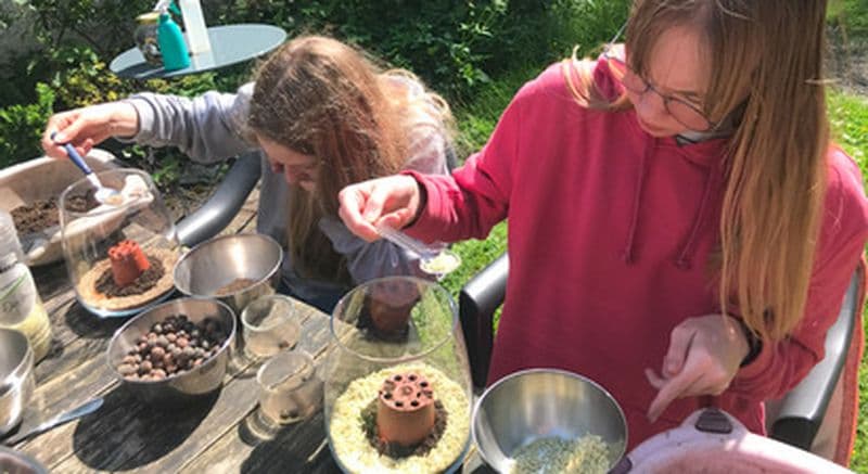 Billet Atelier Terrarium à Marcq-en-Barœul
