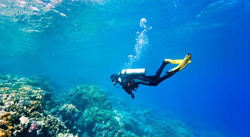 Billet Initiation à la plongée près de Collioure