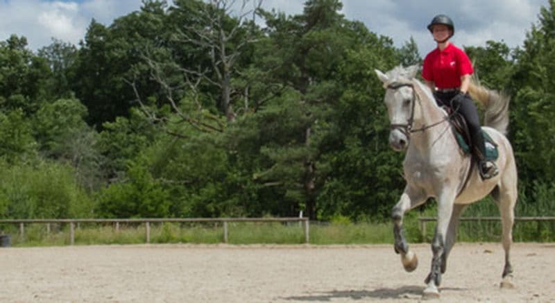Billet Cours particulier d'équitation à Maisons-Laffitte