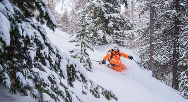 Billet Journée de freeride près de Risoul