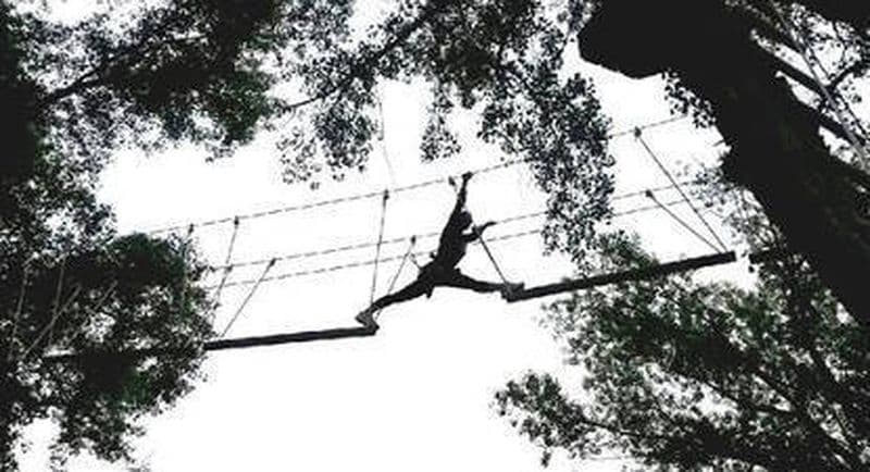 Billet Parcours accrobranche à Millau