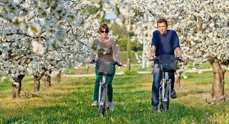 Billet Location de Vélo Electrique à St-Rémy-de-Provence