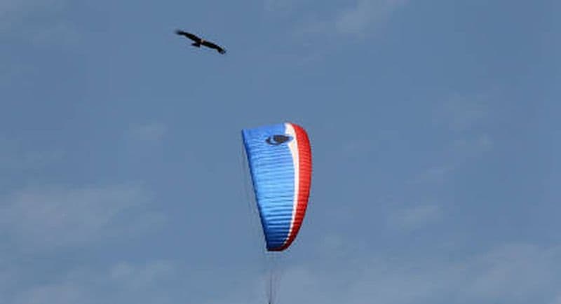 Billet Vol en Parapente au Cirque de Gavarnie