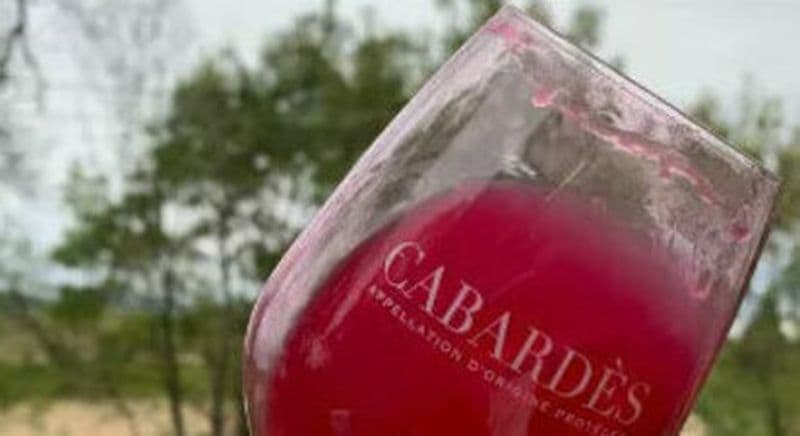 Billet Visite du chateau et des caves avec dégustation près de Carcassonne