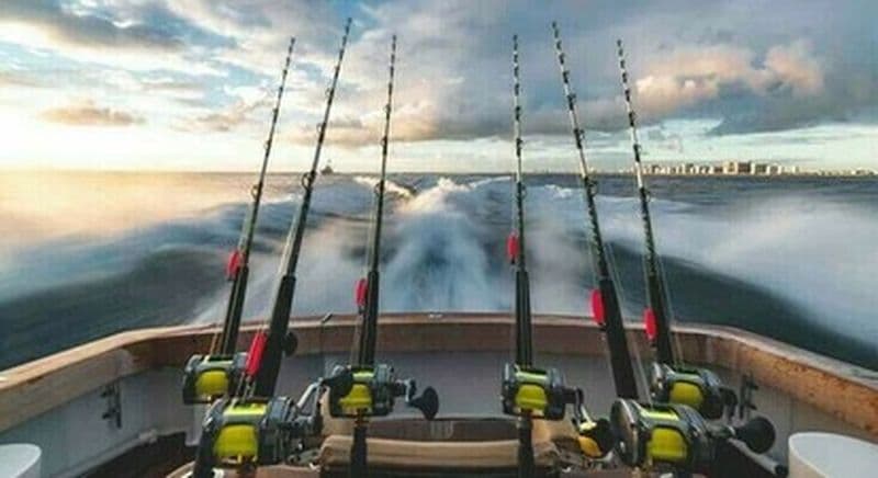Billet Pêche sportive depuis le port de Palavas les Flots