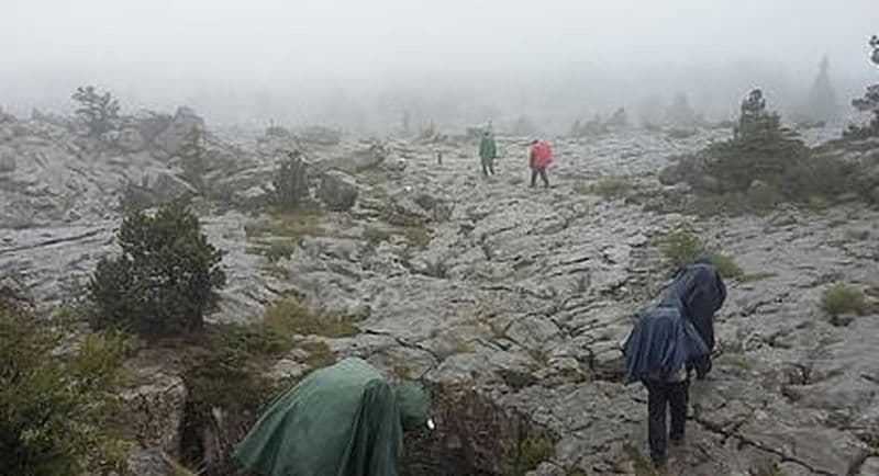 Billet Stage de Survie extrême près d'Annecy