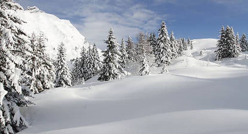 Billet Stage de Survie Hivernal près d'Annecy