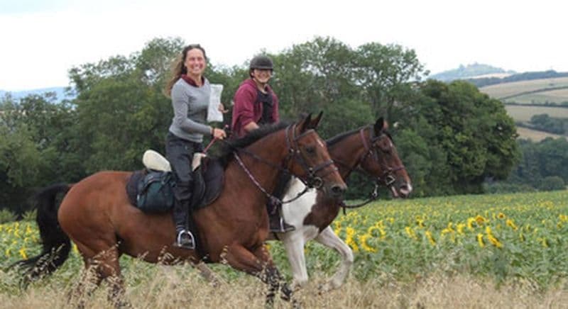 Billet Balade à cheval en pleine nature près d'Auxerre
