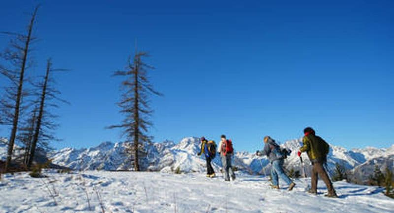 Billet Séance de Nordic Walking à Briançon