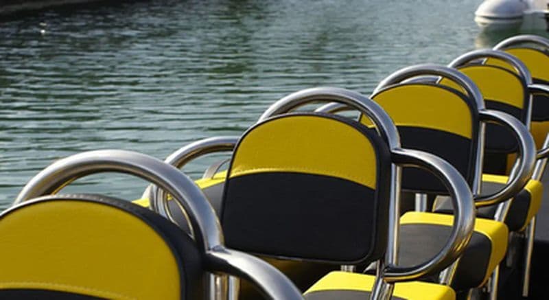 Billet Balade en bateau à Villefranche