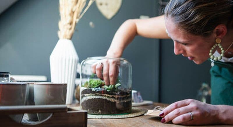 Billet Atelier de création d'un terrarium à Wambrechies près de Roubaix