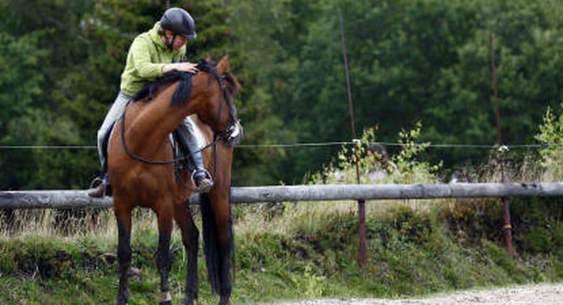 Billet Cours d'équitation près de Chambéry