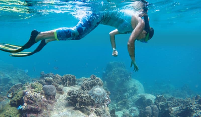 Billet Snorkeling sur la Côte Vermeille
