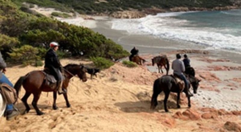 Billet Séjour et randonnées à cheval en plein cœur de la Corse sauvage