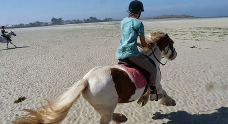 Billet Balade à cheval accompagnées à Plouguerneau - Circuit plage ou campagne