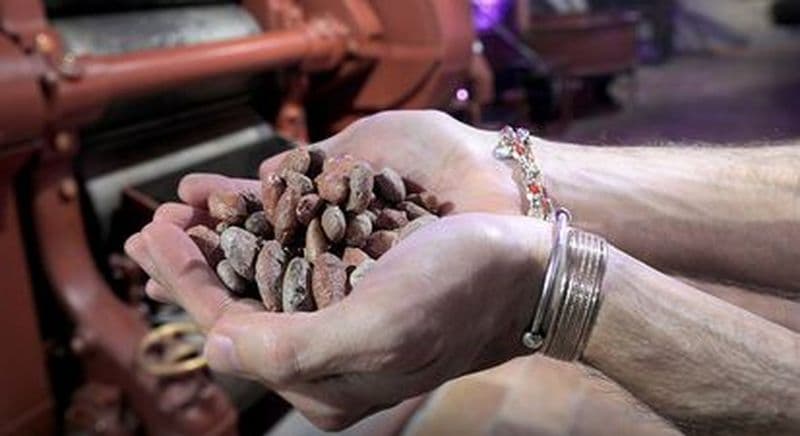 Billet Visite du musée du chocolat Choco Story à Turin