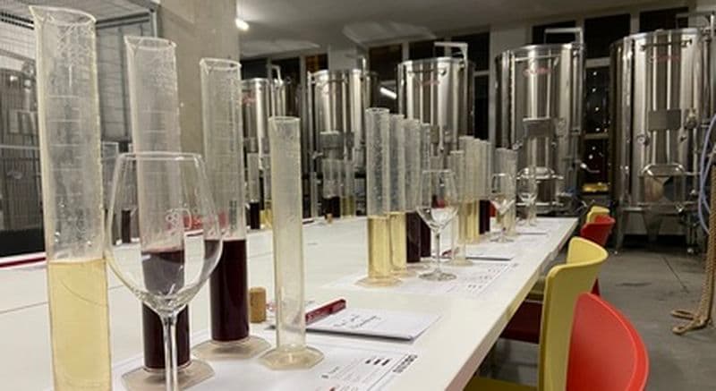 Billet Atelier d'assemblage de votre propre vin dans un chai urbain à Lyon 6ème