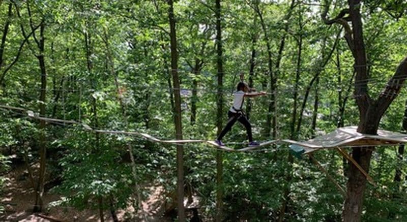 Billet Parcours accrobranche à Chaville