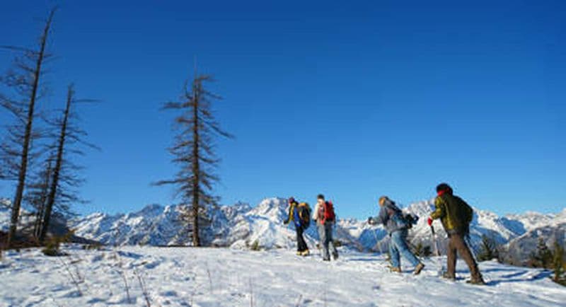 Billet Séance de Nordic Walking à Béziers