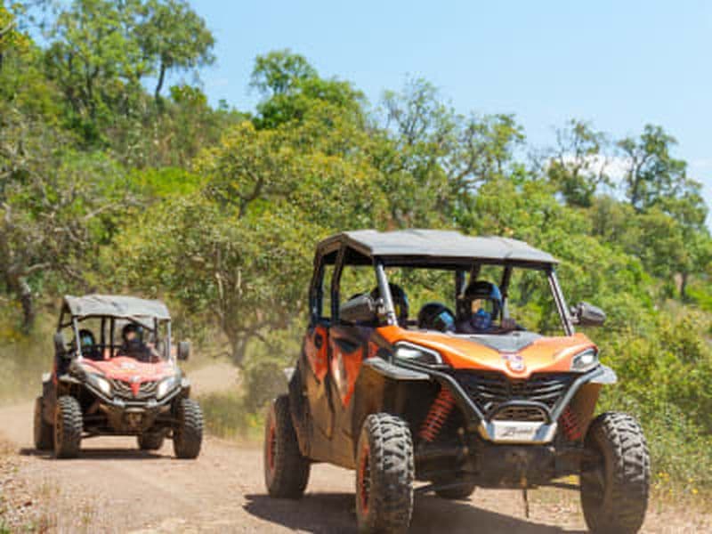 Billet Excursions en buggy à partir de Loule près de Vilamoura, Algarve