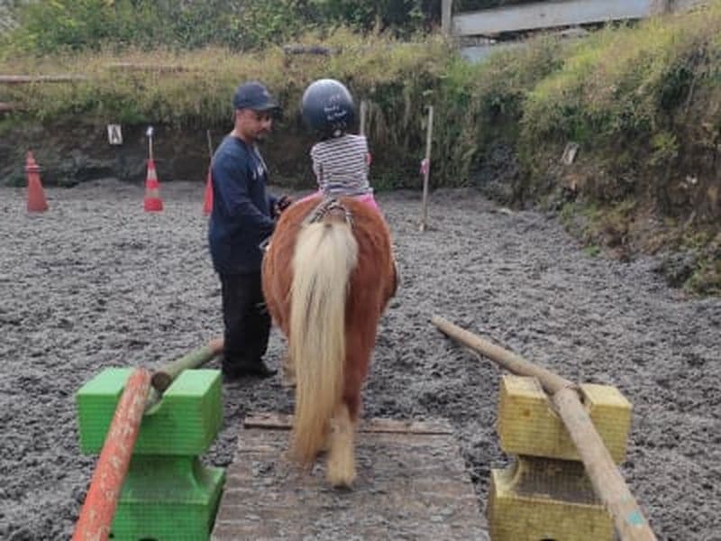 Billet Baby poney sur le Piton Maïdo, La Réunion