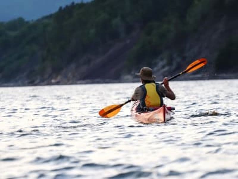 Billet Excursion guidée en kayak de mer sur le Saint-Laurent depuis Saint-Siméon