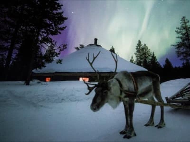 Billet Chasse aux aurores boréales en traîneau à rennes depuis Saariselkä