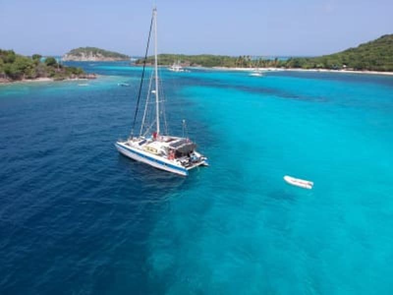 Billet Excursion snorkeling avec les tortues en catamaran aux Anses-d'Arlet, Martinique