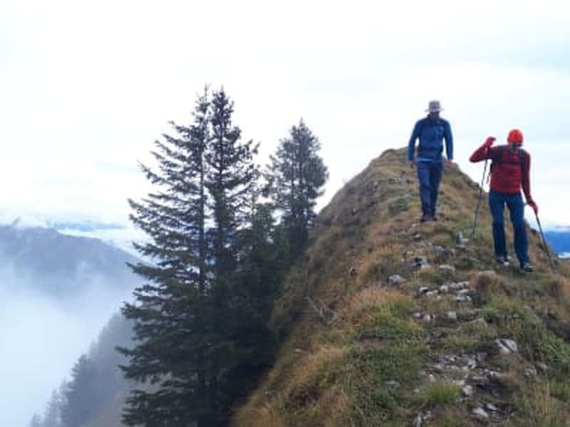 Billet Randonnée guidée sur le sommet du Crêt des mouches, près d'Annecy