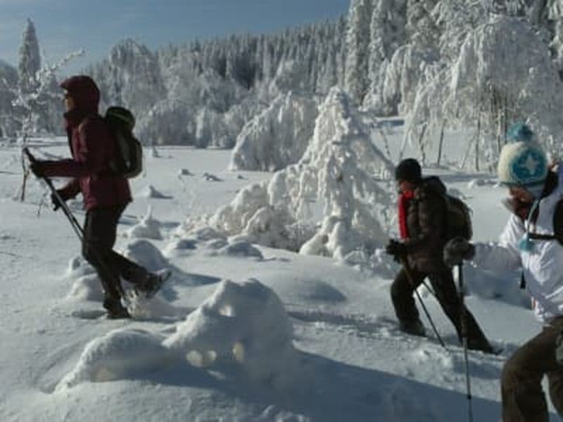 Billet Randonnée raquettes en Chartreuse près de Grenoble