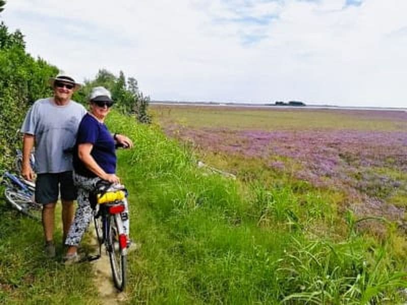 Billet Excursion à vélo et dégustation de miel sur l'île de Sant'Erasmo, Venise