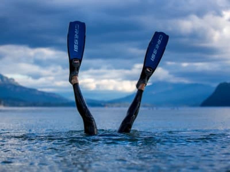 Billet Snorkeling dans le lac du Bourget à Chindrieux, près d'Aix-les-Bains