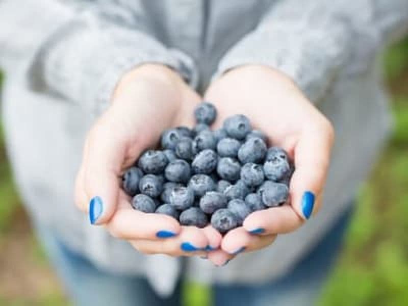 Billet Cueillette de baies dans la nature avec barbecue au départ de Rovaniemi