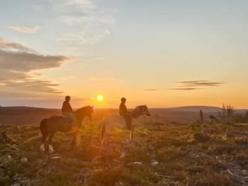 Billet Excursion à cheval au soleil de minuit depuis Rovaniemi