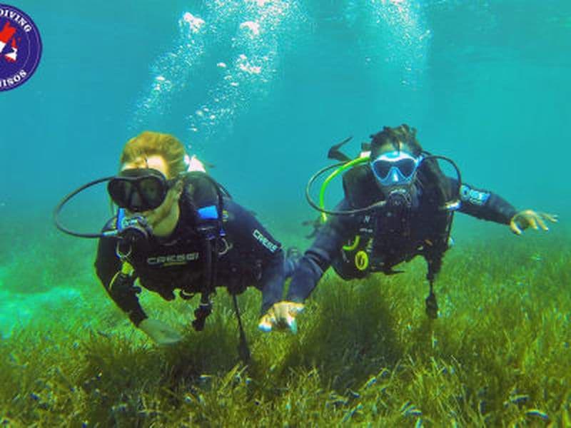 Billet Découverte de la plongée sous-marine à Glyfa Beach, Alonissos
