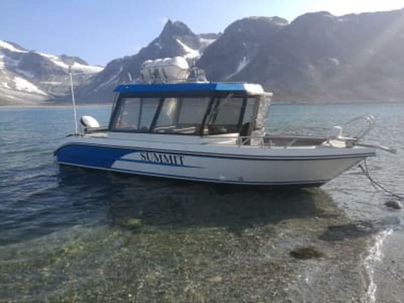 Billet Excursion en bateau vers le glacier d'Aputsiaq depuis Tasiilaq, Groenland