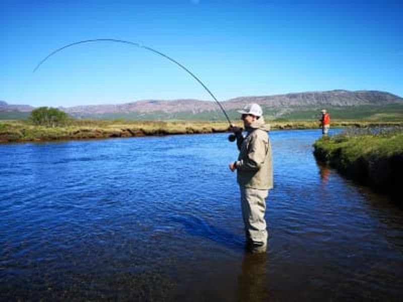 Billet Journée de pêche au départ de Reykjavík