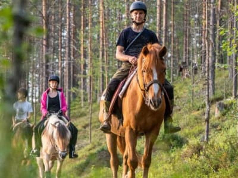 Billet Excursion estivale à cheval à partir de Rovaniemi
