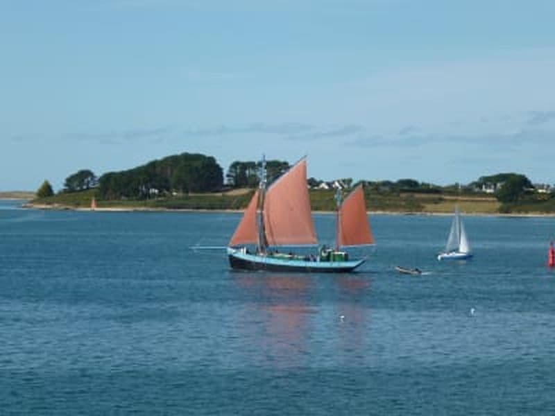Billet Balade en bateau à l’archipel des Glénan depuis Lesconil ou Loctudy sur un vieux gréement